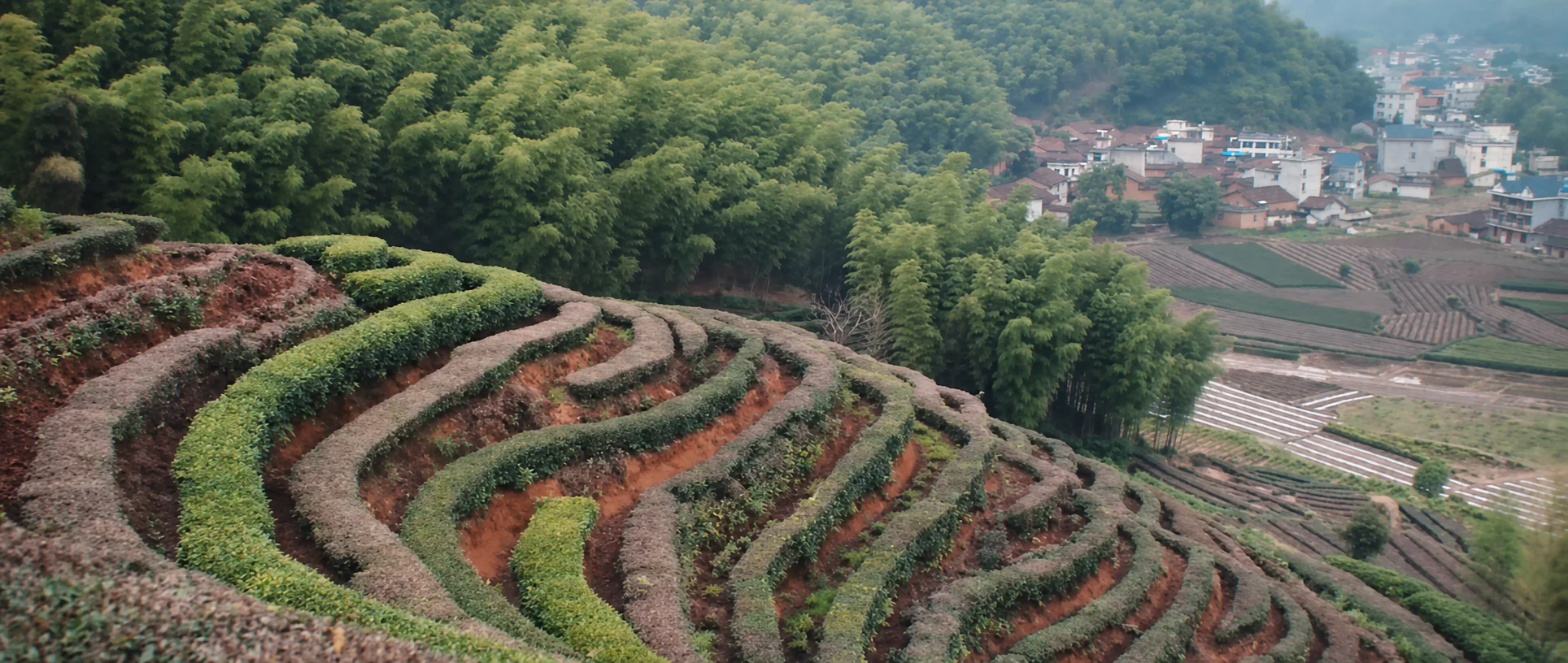 Terraced fields and farmland near Suichang.