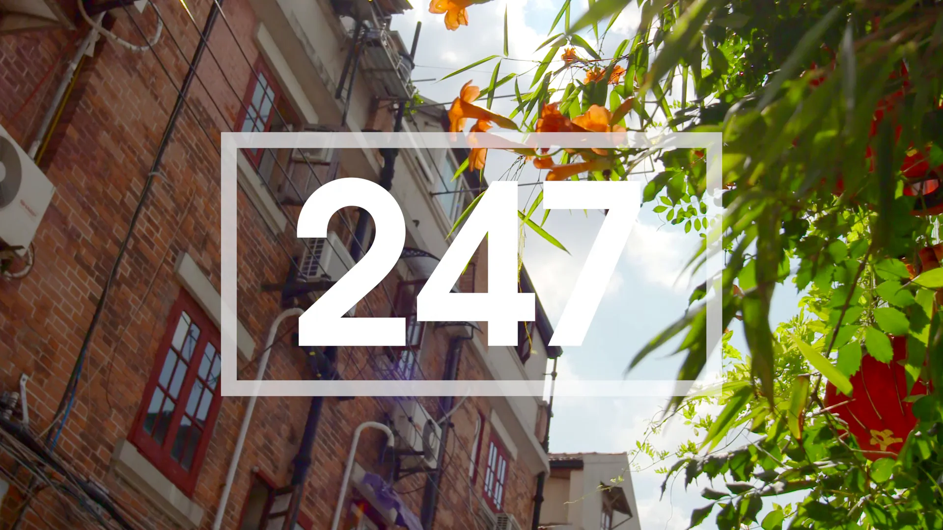 New Balance 247 graphic over a leafy Shanghai lane