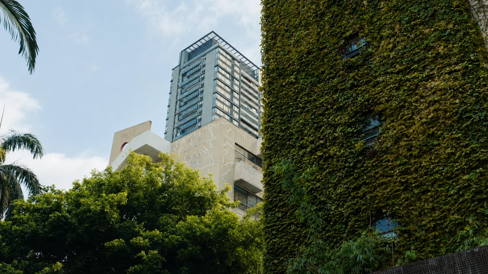 Ivy-covered architectural wall with a modern high-rise behind trees in Shanghai