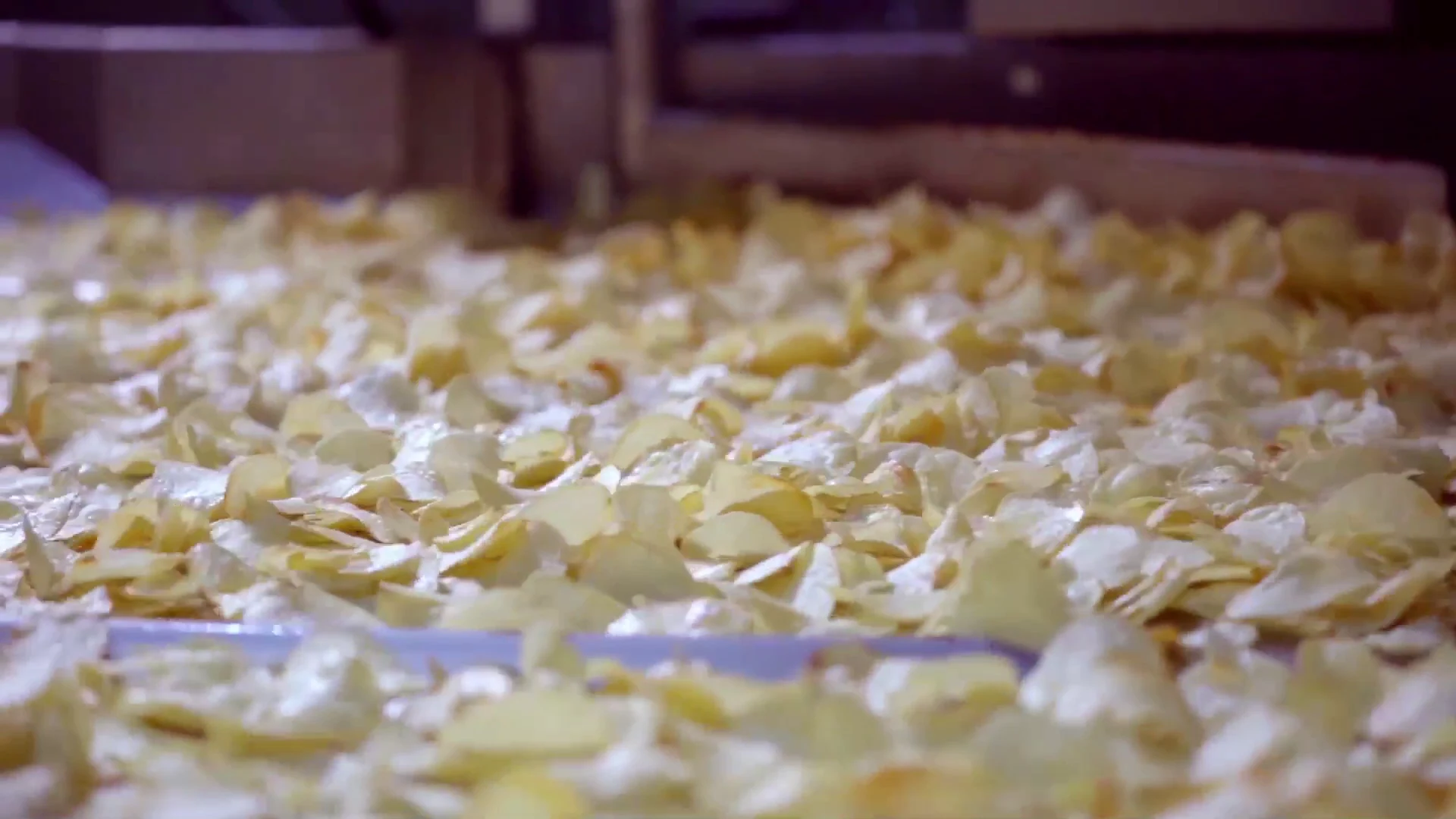 Potato chips travelling along a food production line.