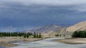 an oasis in the desert