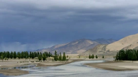 an oasis in the desert