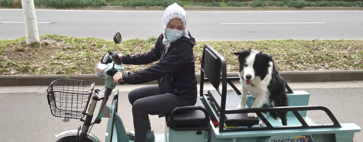 woman dog bike