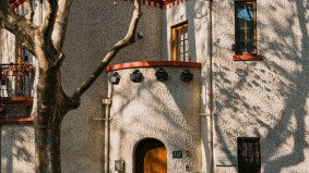 Cyclist riding down Anfu Road, Shanghai, lined with trees and historic buildings.