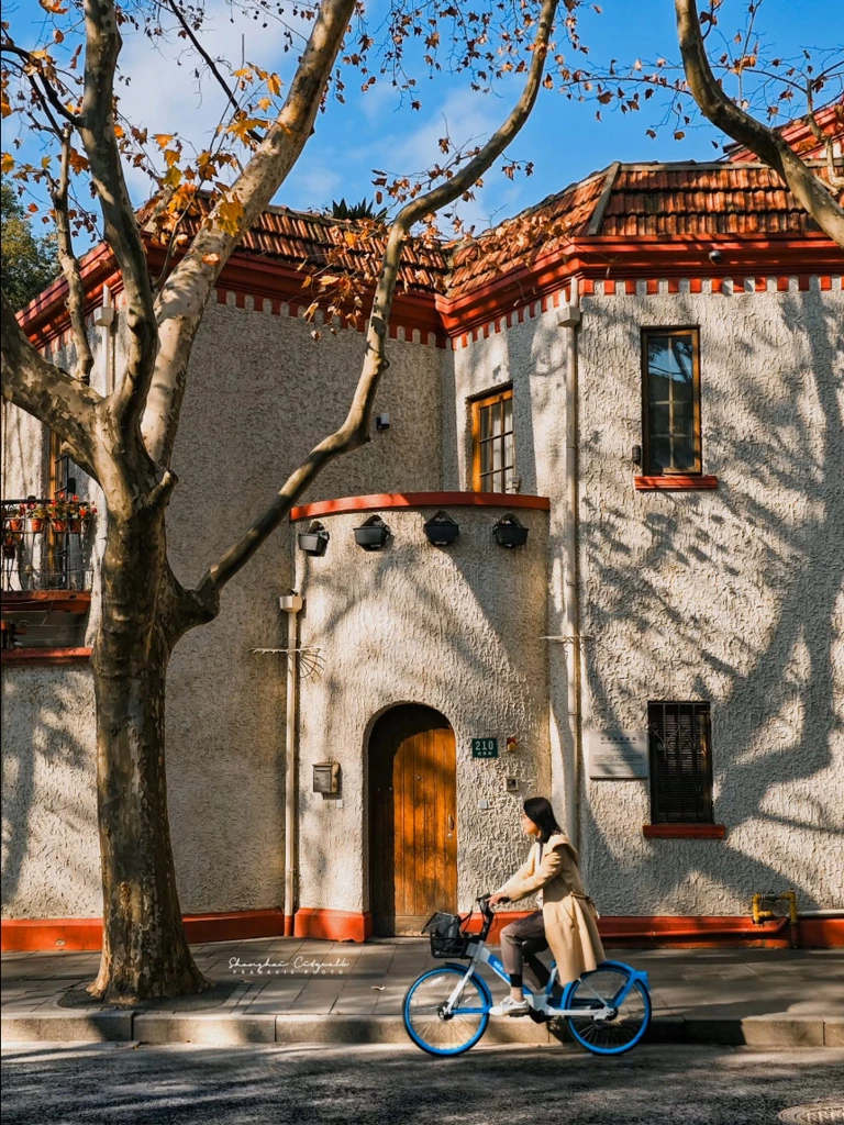 Cyclist riding down Anfu Road, Shanghai, lined with trees and historic buildings.