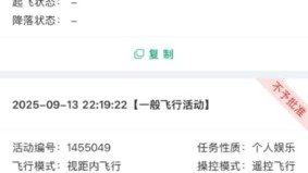 Screenshot of a Chinese drone flight app showing three flight applications, with two marked as not approved.